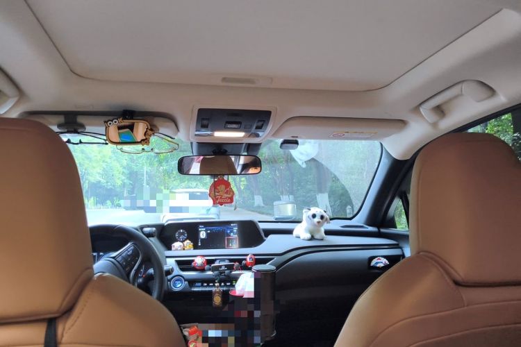 Used Lexus UX 2020 260h Explore & Adventure Edition Headliner