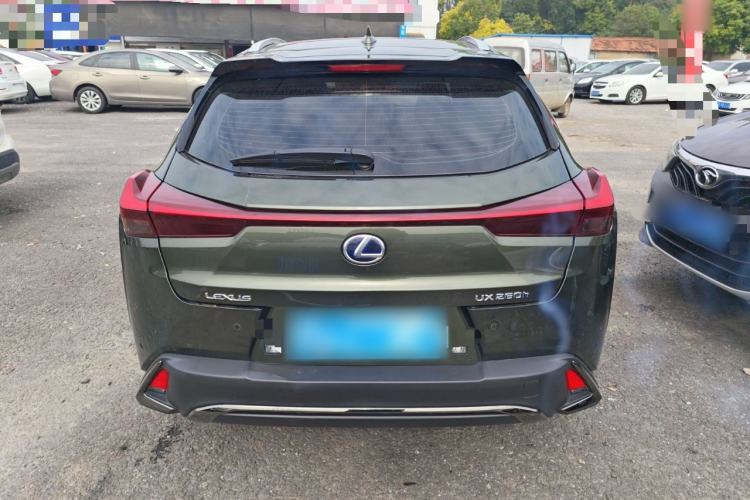 Used Lexus UX 2020 Revised Version 260h F SPORT Edition Rear