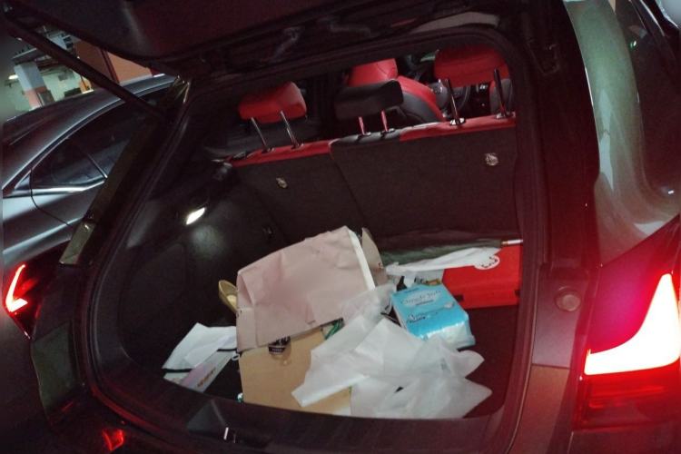 Used Lexus UX 2020 200 F SPORT Version Trunk