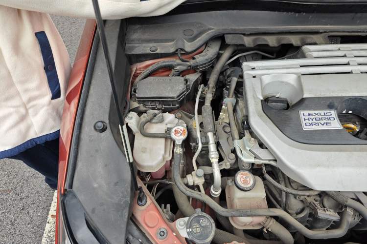 Used Lexus UX 2020 260h Explore & Adventure Edition Engine Bay Right