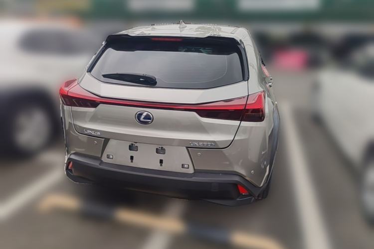 Used Lexus UX 2020 260h Explore-Cool Edition Rear