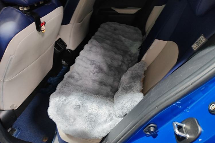 Used Lexus UX 2020 200 Special Edition Left Rear Seat