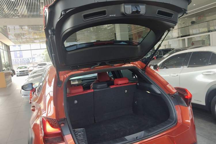 Used Lexus UX 2020 200 F SPORT Version Trunk