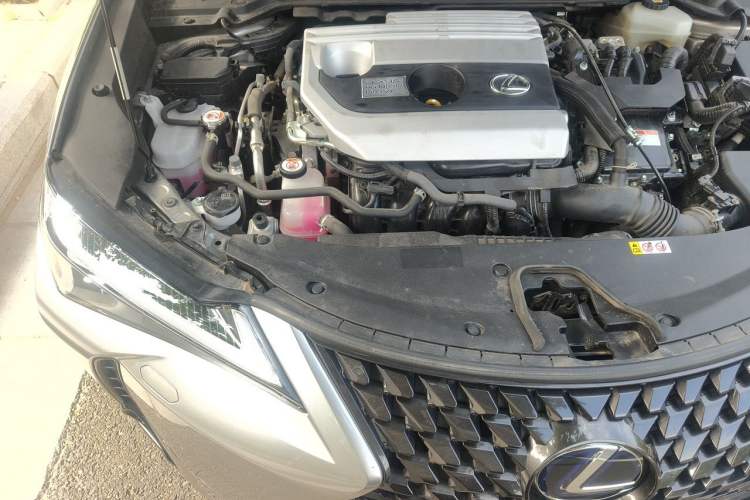 Used Lexus UX 2020 260h Explore & Enjoy Edition Engine Bay Right