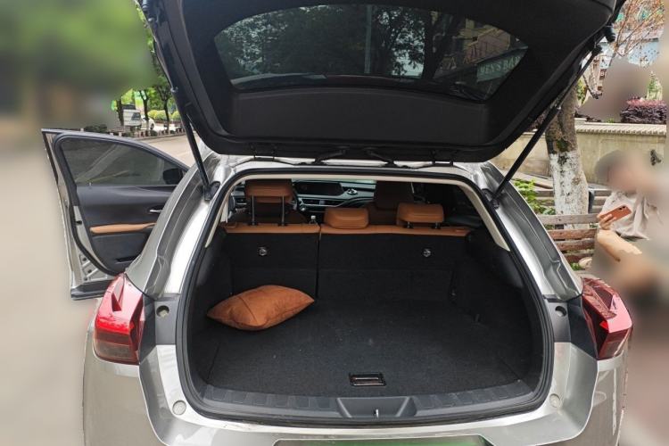 Used Lexus UX 2020 200 Special Edition Trunk