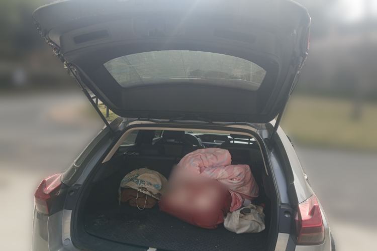Used Lexus UX 2020 200 Special Edition Trunk