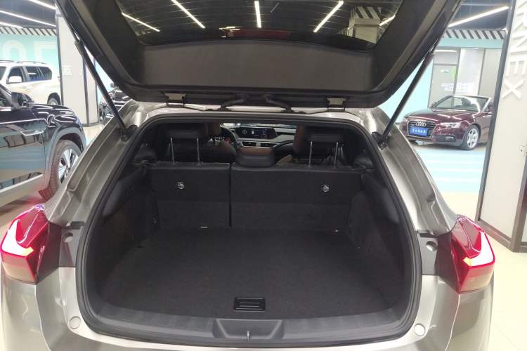 Used Lexus UX 2020 200 Special Edition Trunk
