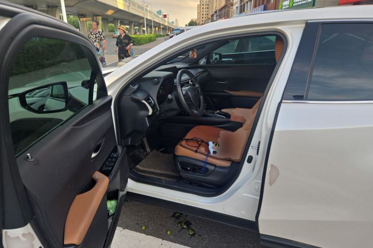 Used Lexus UX 2020 200 Special Edition Driver Seat