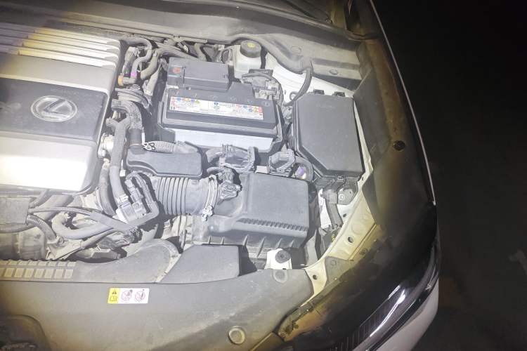 Used Lexus UX 2020 200 Special Edition Engine Bay Left