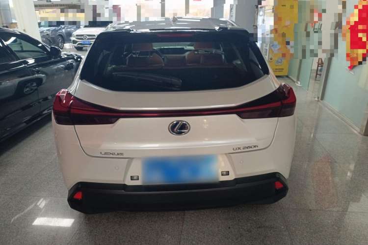 Used Lexus UX 2020 260h Explore & Adventure Edition Exterior 4