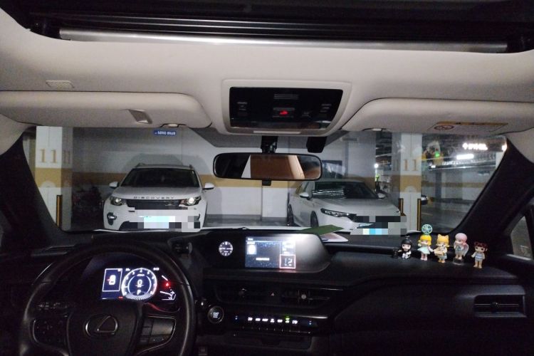 Used Lexus UX 2020 200 Special Edition Headliner
