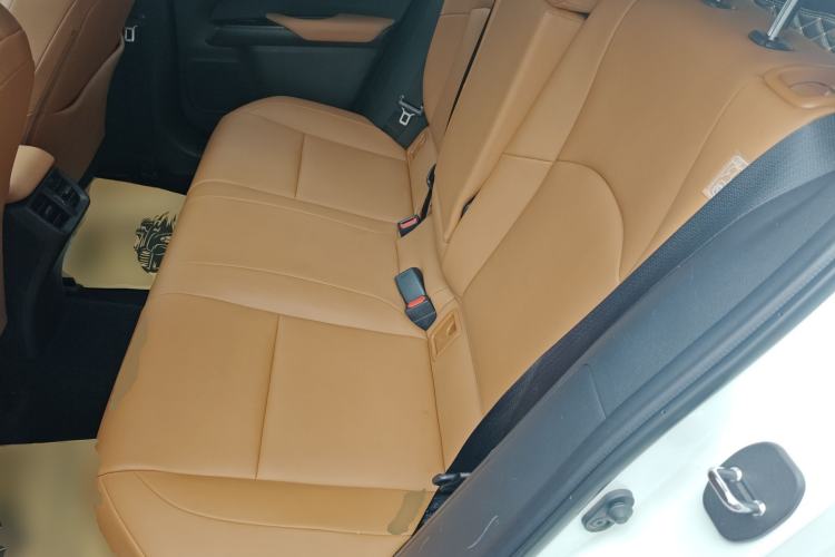 Used Lexus UX 2020 260h Explore & Adventure Edition Left Rear Seat