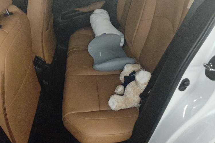 Used Lexus UX 2020 260h Explore & Adventure Edition Left Rear Seat