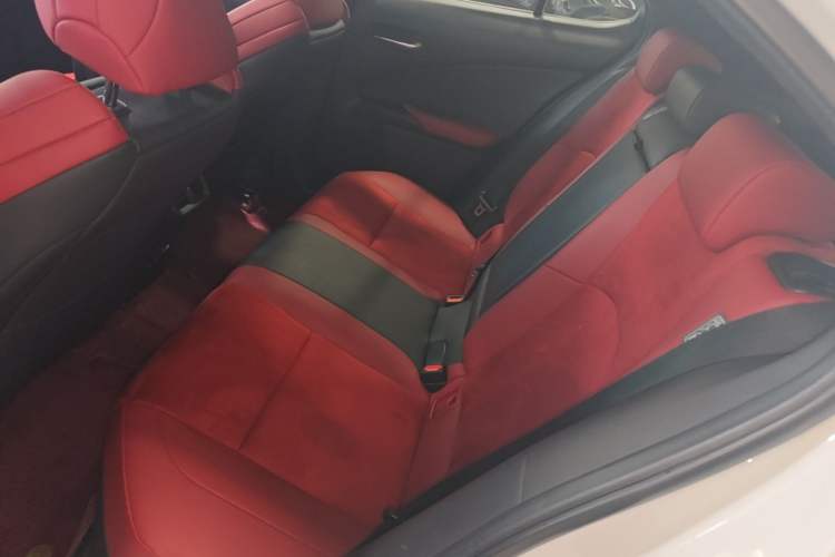 Used Lexus UX 2020 Revised Version 200 F SPORT Edition Left Rear Seat
