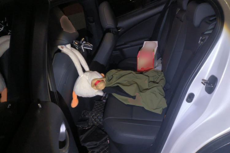 Used Lexus UX 2020 260h Explore & Adventure Edition Left Rear Seat