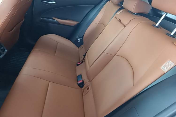 Used Lexus UX 2020 260h Explore & Adventure Edition Left Rear Seat