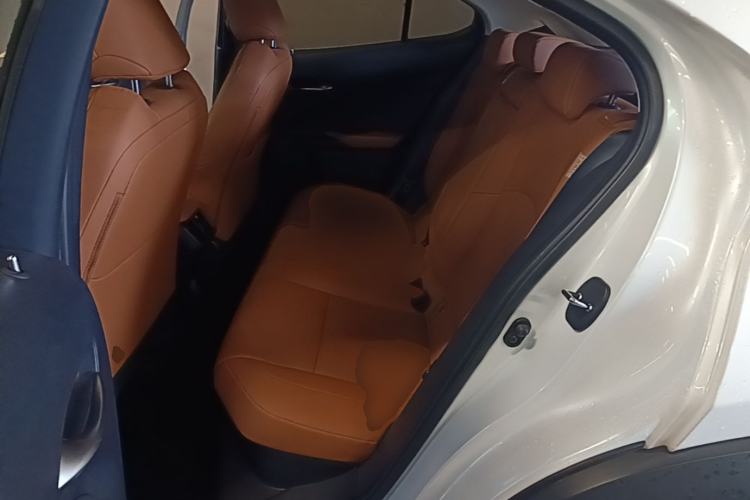 Used Lexus UX 2020 260h Explore & Adventure Edition Left Rear Seat