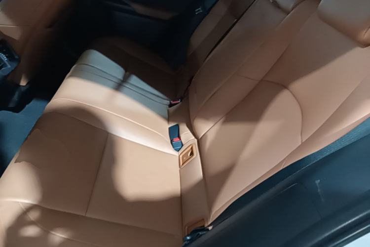 Used Lexus UX 2020 260h Explore & Adventure Edition Left Rear Seat