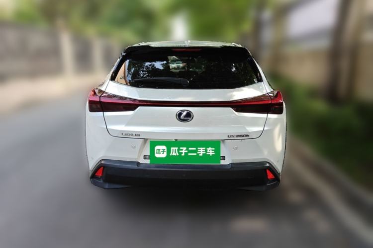 Used Lexus UX 2020 260h Explore-Cool Edition Rear