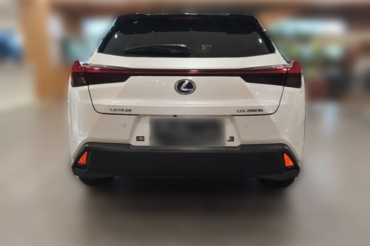 Used Lexus UX 2020 260h Explore & Adventure Edition Rear