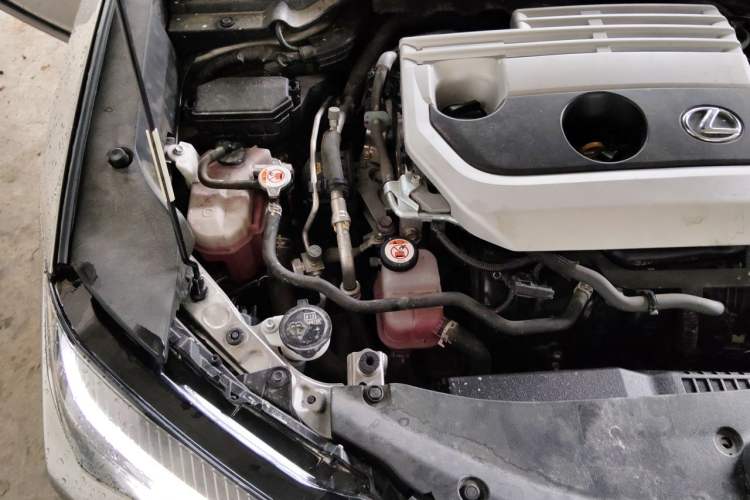 Used Lexus UX 2022 260h Explore-Edition Engine Bay Right