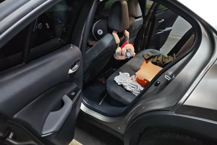 Used Lexus UX 2022 260h Explore Edition Left Rear Seat