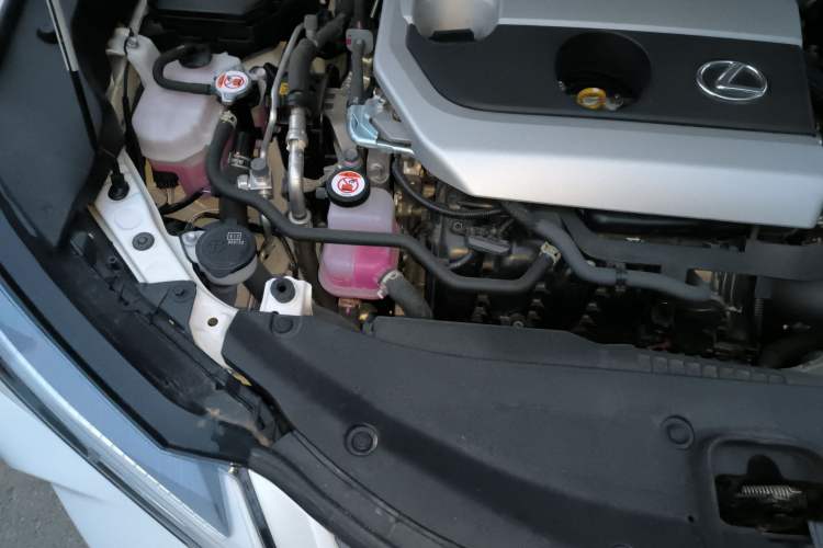 Used Lexus UX 2022 260h Explore Edition Engine Bay Right