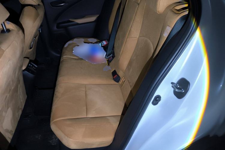 Used Lexus UX 2022 260h Explore Edition Left Rear Seat
