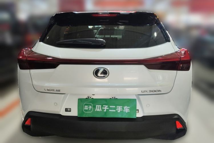 Used Lexus UX 2024 300h Adventure Edition Rear