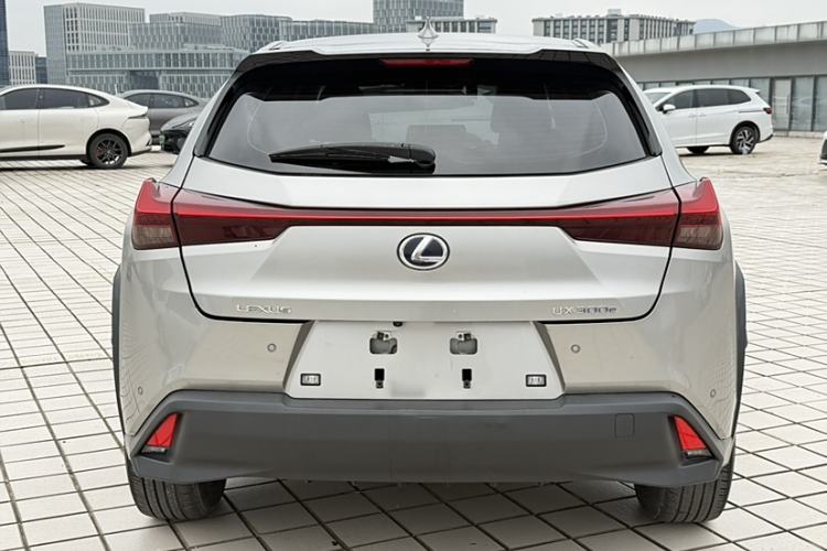 Used Lexus UX New Energy 2020 300e Pure·Enjoy Edition Exterior 7