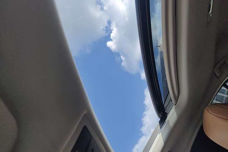 Used Lexus UX New Energy 2020 300e Pure·Joy Edition Headliner