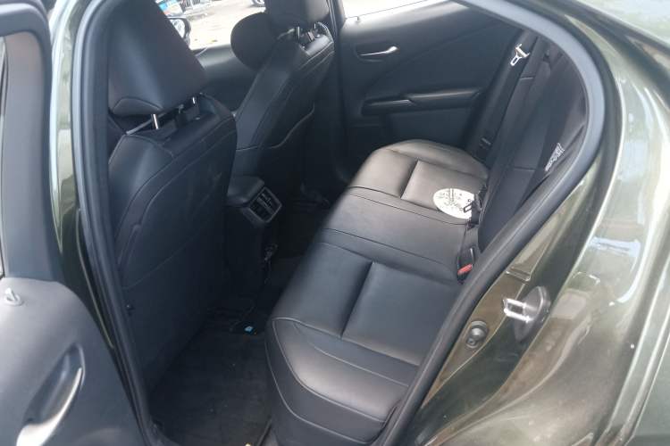 Used Lexus UX New Energy 2020 300e Pure·Joy Edition Left Rear Seat