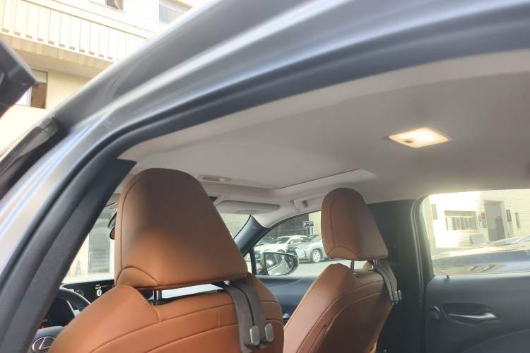 Used Lexus UX New Energy 2020 300e Pure·Joy Edition Headliner