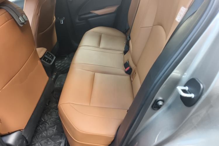 Used Lexus UX New Energy 2020 300e Pure·Joy Edition Left Rear Seat