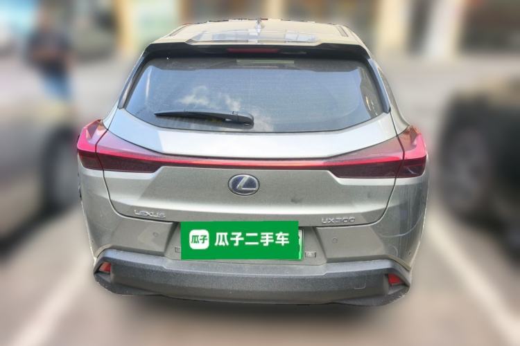 Used Lexus UX New Energy 2020 300e Pure·Joy Edition Rear