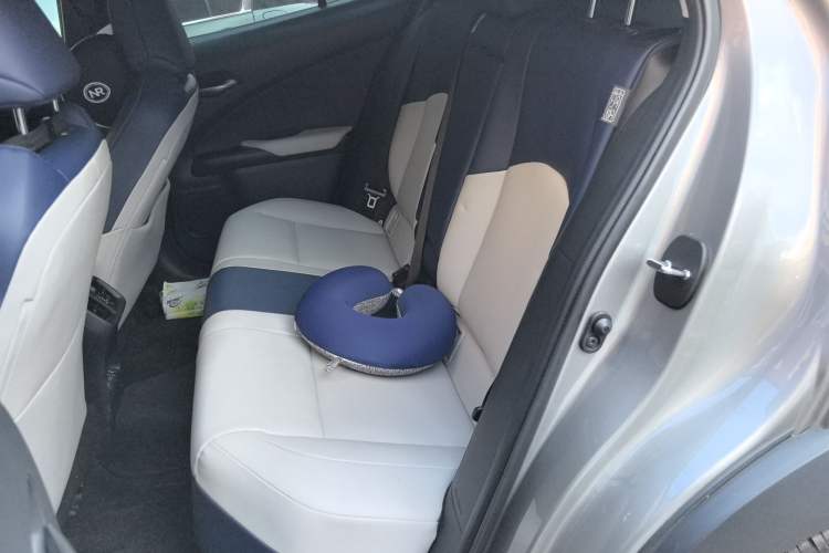 Used Lexus UX New Energy 2020 300e Pure·Joy Edition Left Rear Seat
