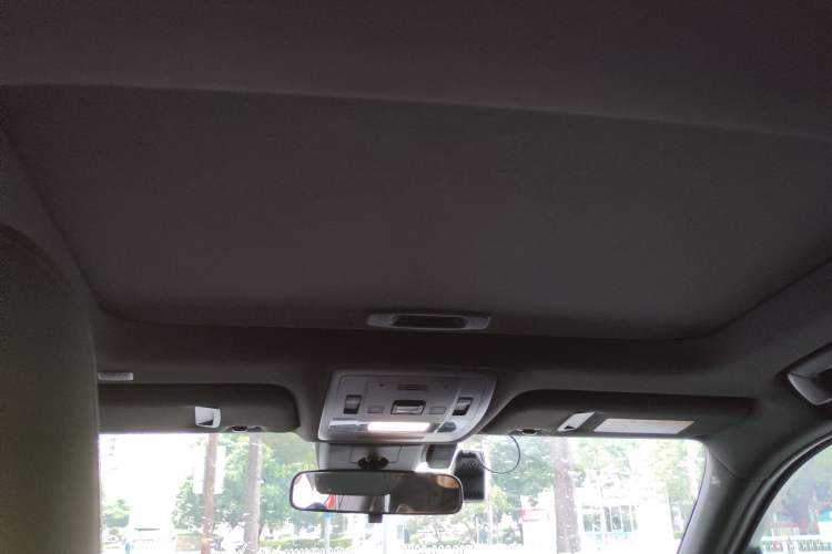 Used Lexus UX New Energy 2020 300e Pure·Joy Edition Headliner