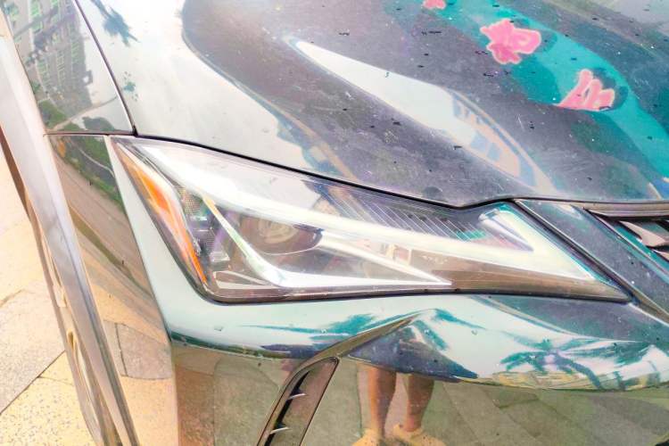 Used Lexus UX New Energy 2020 300e Pure·Joy Edition Right Front Headlight