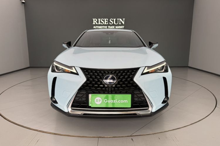 Used Lexus UX New Energy 2020 300e Pure·Enjoy Edition Exterior 1