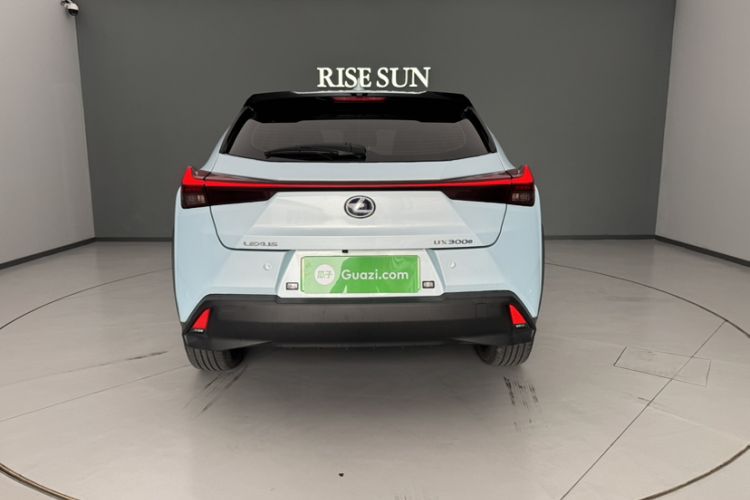 Used Lexus UX New Energy 2020 300e Pure·Enjoy Edition Exterior 4