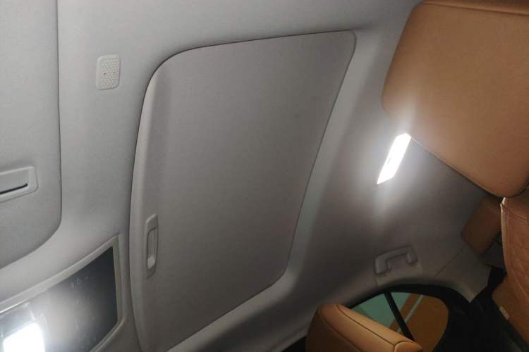 Used Lexus UX New Energy 2020 300e Pure·Joy Edition Headliner