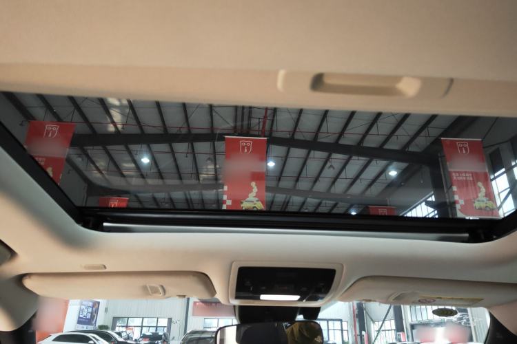 Used Lexus UX New Energy 2020 300e Pure·Joy Edition Headliner