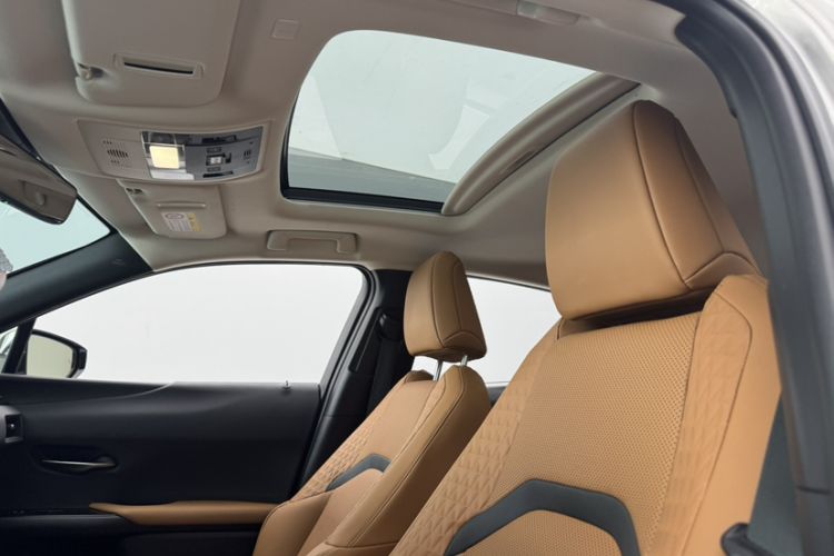 Used Lexus UX New Energy 2020 300e Pure·Enjoy Edition Headliner