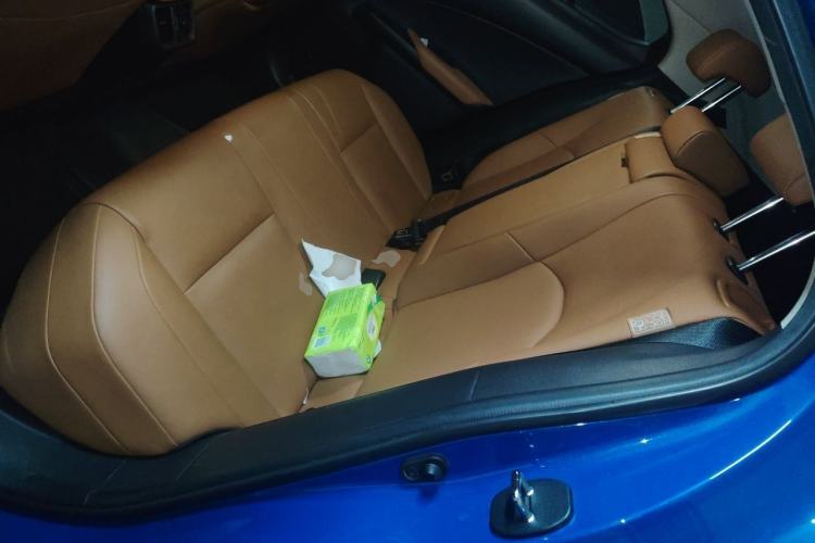 Used Lexus UX New Energy 2020 300e Pure·Joy Edition Left Rear Seat