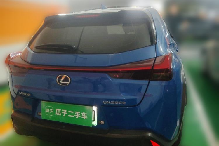 Used Lexus UX New Energy 2020 300e Pure·Joy Edition Rear
