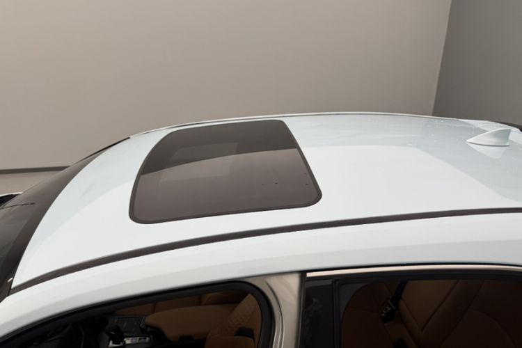 Used Lexus UX New Energy 2020 300e Pure·Enjoy Edition Roof