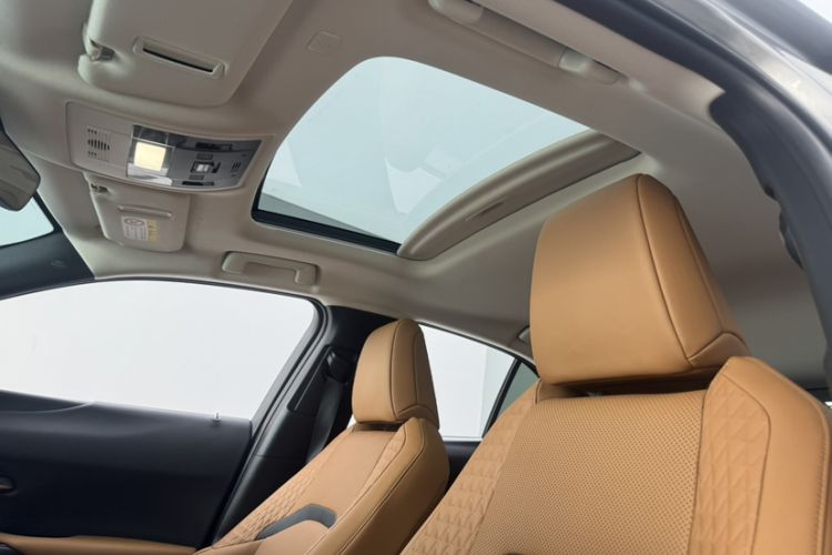 Used Lexus UX New Energy 2020 300e Pure·Enjoy Edition Headliner