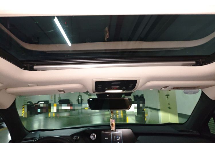 Used Lexus UX New Energy 2020 300e Pure·Enjoy Edition Headliner