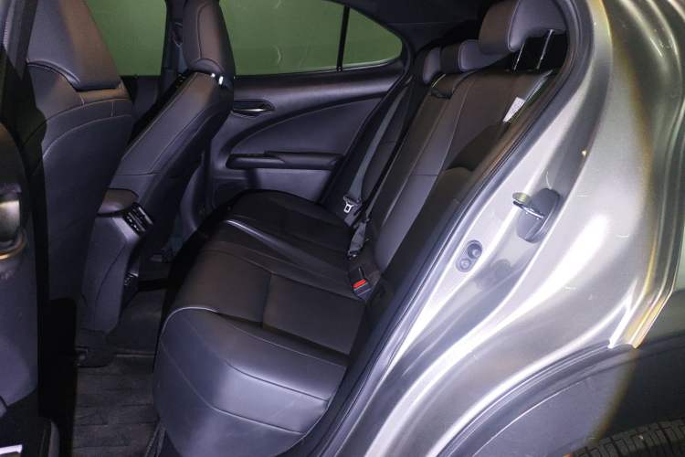 Used Lexus UX New Energy 2020 300e Pure·Joy Edition Left Rear Seat