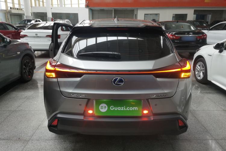 Used Lexus UX New Energy 2020 300e Pure·Joy Edition Rear